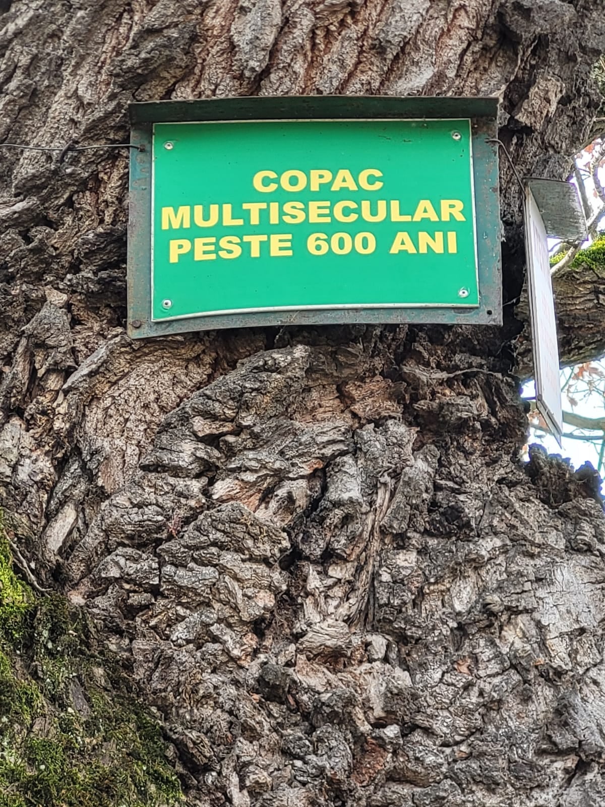 copac multisecular 2