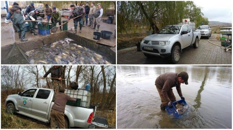 populare peste mures