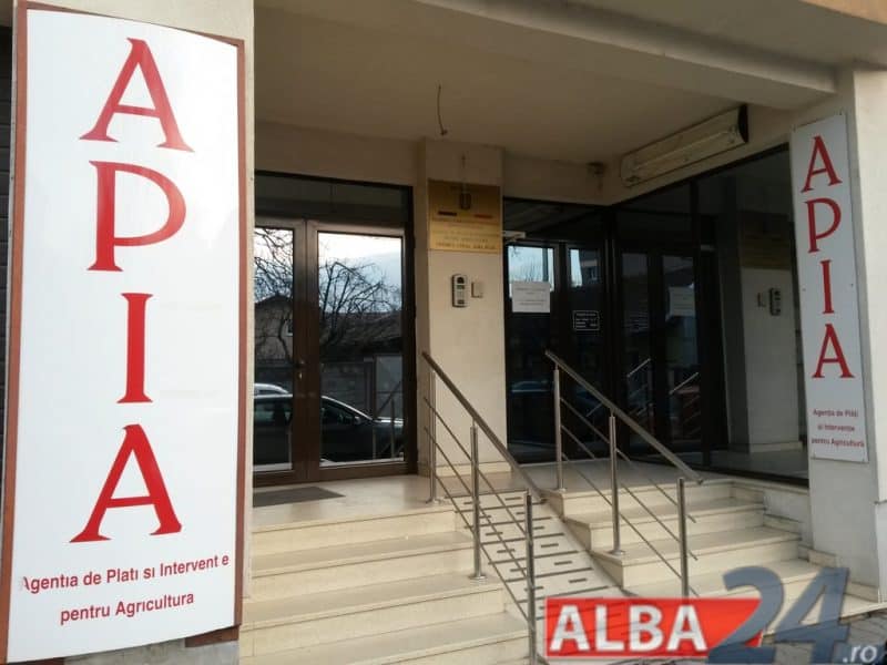 apia alba iulia