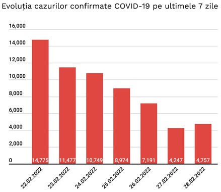 cazuri 28 februarie