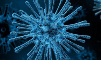 1584201991 coronavirus 1.jpg