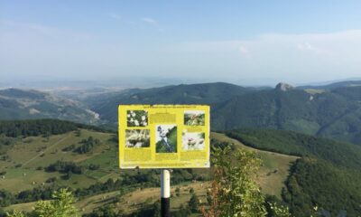 piatra cetii, drumetii, munte, judetul alba, natura