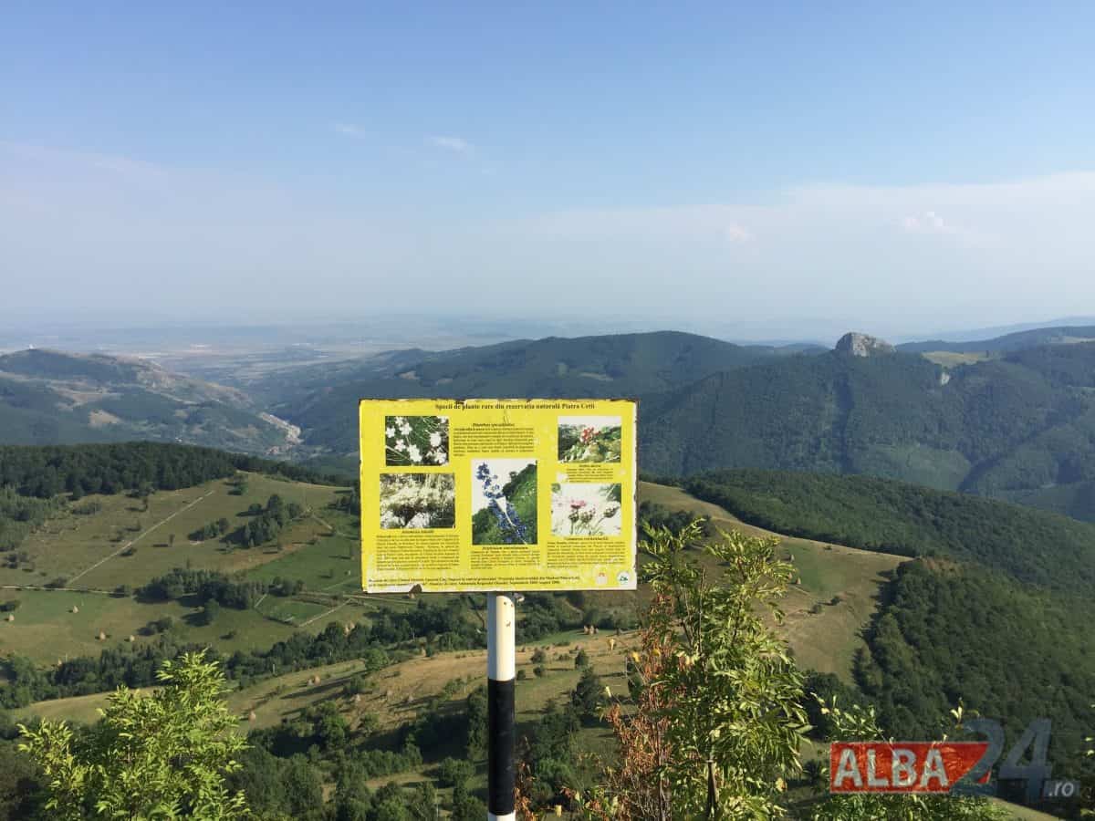 piatra cetii, drumetii, munte, judetul alba, natura