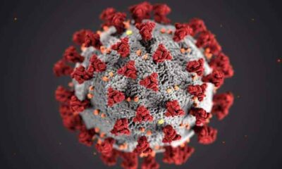 coronavirus.jpg