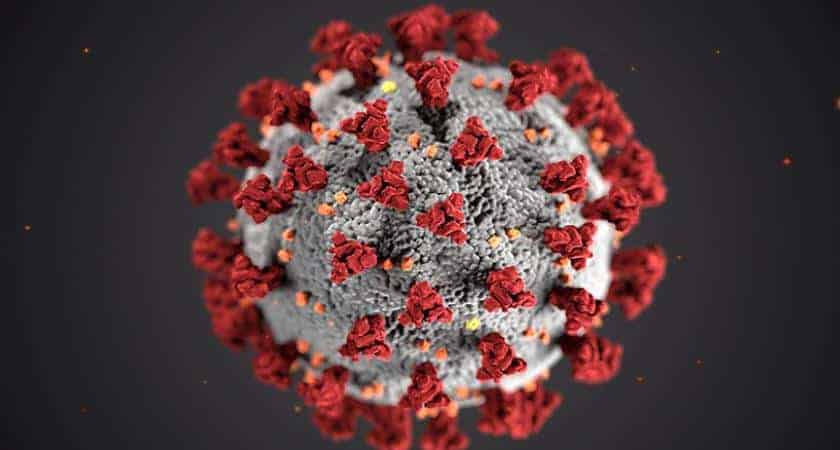 coronavirus.jpg