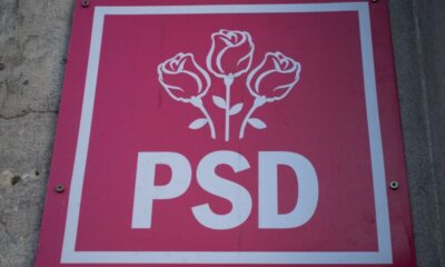 psd e1665509994796.jpg