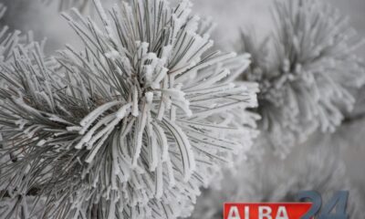 zapada inghetata meteo